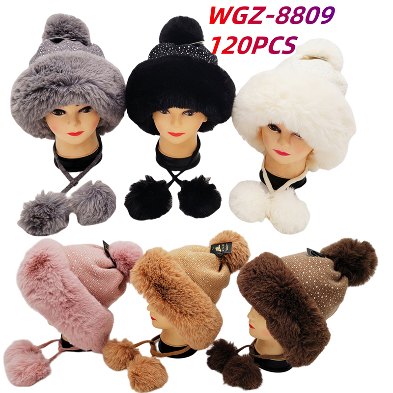 WGZ-8809 CS120